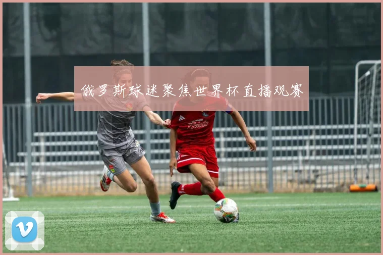 俄罗斯球迷聚焦世界杯直播观赛