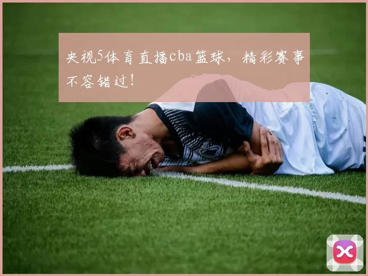 央视5体育直播cba篮球，精彩赛事不容错过！