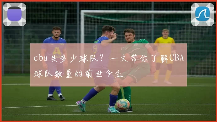 cba共多少球队？一文带你了解CBA球队数量的前世今生